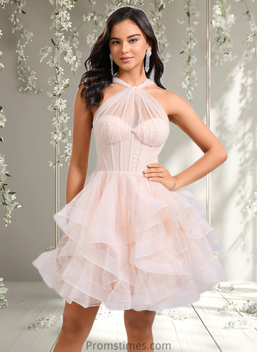 Lucile Ball-Gown/Princess Sweetheart Short Tulle Homecoming Dress XXBP0025667