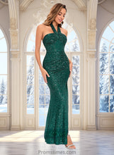 Load image into Gallery viewer, Kara Sheath/Column Halter Floor-Length Sequin Prom Dresses XXBP0025858